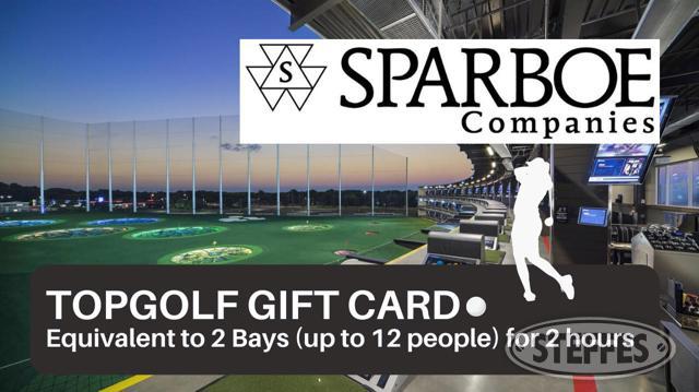 Topgolf (Equivalent to 2 bays - up to 12 people)